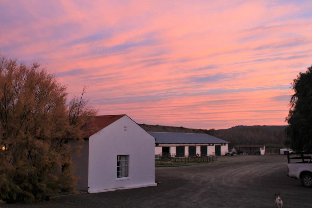 Ganora Guest Farm, Camping And Excursions Nieu-Bethesda Εξωτερικό φωτογραφία