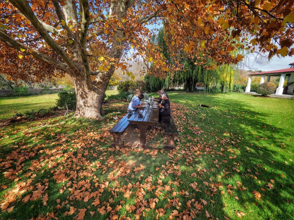 Ganora Guest Farm, Camping And Excursions Nieu-Bethesda Εξωτερικό φωτογραφία